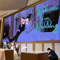 大きなバックスクリーン