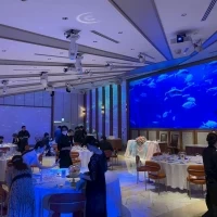 水族館の360℃映像