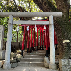 乃木神社|717862さんの乃木神社・乃木會館の写真(2263019)