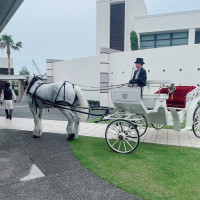 馬車の名前はシュガーちゃん