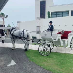 馬車の名前はシュガーちゃん|718230さんのノートルダムマリノア/FIVESTAR WEDDINGの写真(2460193)