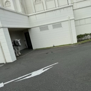 馬車馬のシュガーちゃん|718230さんのノートルダムマリノア/FIVESTAR WEDDINGの写真(2240390)