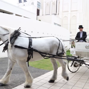 騎手の方も気さくでした|718230さんのノートルダムマリノア/FIVESTAR WEDDINGの写真(2460197)