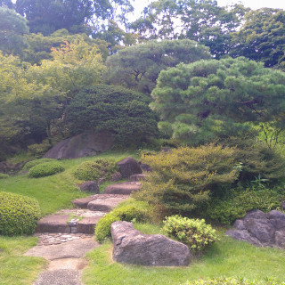 素敵な日本庭園です。