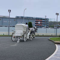 特別感を味わいたいなら馬車に乗ることをお勧めします。