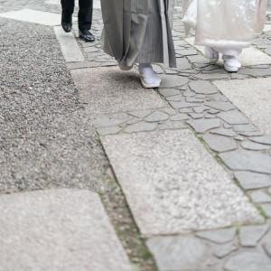 庭を歩いているところ|718763さんの桜鶴苑の写真(2460910)