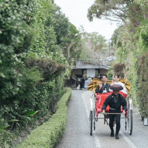 人力車|718763さんの桜鶴苑の写真(2460911)