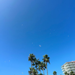 披露宴会場からの景色|718947さんのリビエラ逗子マリーナの写真(2244648)