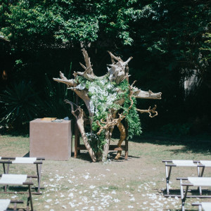 苔丸さんによる芸術作品|719045さんのMAYAの写真(2442373)