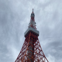 天気悪くても東京タワーが映える