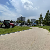 ホテルの庭、菜園、駐車時。