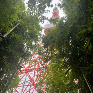 外から見える東京タワー