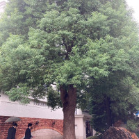 会場内