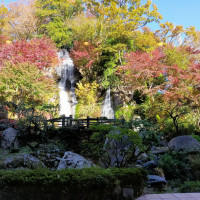 庭には滝があり、紅葉もしていて綺麗でした。