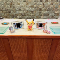 受付は新婦の好きなポケモンにしました