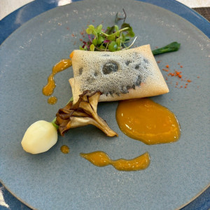 魚|720604さんのキャッスルガーデン OSAKAの写真(2550375)