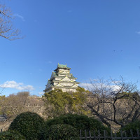 茶室から見える大阪城