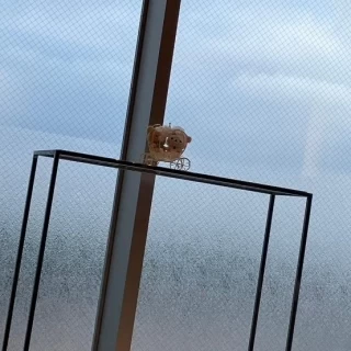 挙式会場