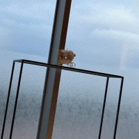 挙式会場
