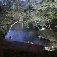 夜の庭園