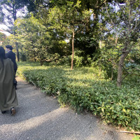 明治神宮の中の披露宴会場までの道