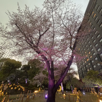 庭園
