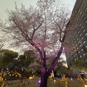 庭園|721838さんのグランドプリンスホテル高輪 貴賓館の写真(2443481)