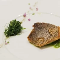 玄界灘天然真鯛
葱バーニャカウダ 丘ヒジキ