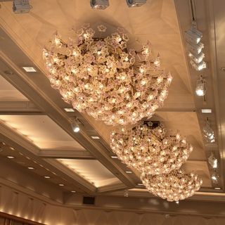 帝国ホテル 東京のクチコミ 披露宴会場の写真（3枚目）