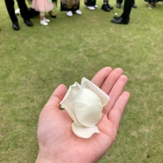フラワーシャワーのフラワー。