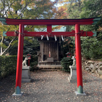 庭の中に神社あった