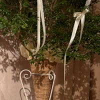 かわいい雰囲気の植栽でした
