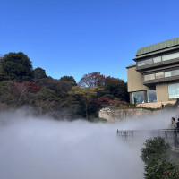 雲海です！