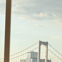 レインボーブリッジが見れます