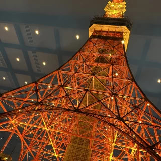 東京タワーが綺麗に見えます