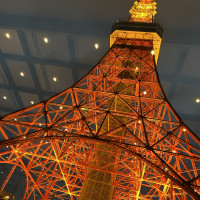 東京タワーが綺麗に見えます