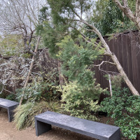 披露宴会場に向かう途中にある小さなお庭