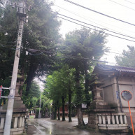 牛嶋神社の外観