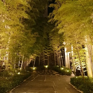 夜の入り口付近