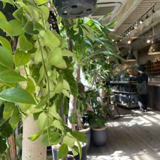 ボタニカルウェディングはgarageの中で