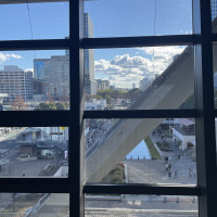 リリーからの景色