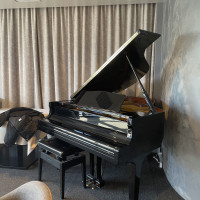 ピアノは3万円の調律料を払えば使用可能
