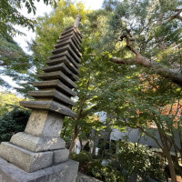 庭に石塔がありました