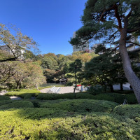 広々とした庭園