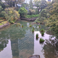 待合室から見える庭園