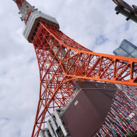 目の前の東京タワー