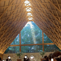 この木の匂いが好きです！