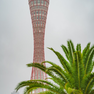 挙式会場からの景色