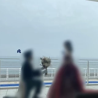 窓からの景色が綺麗でした