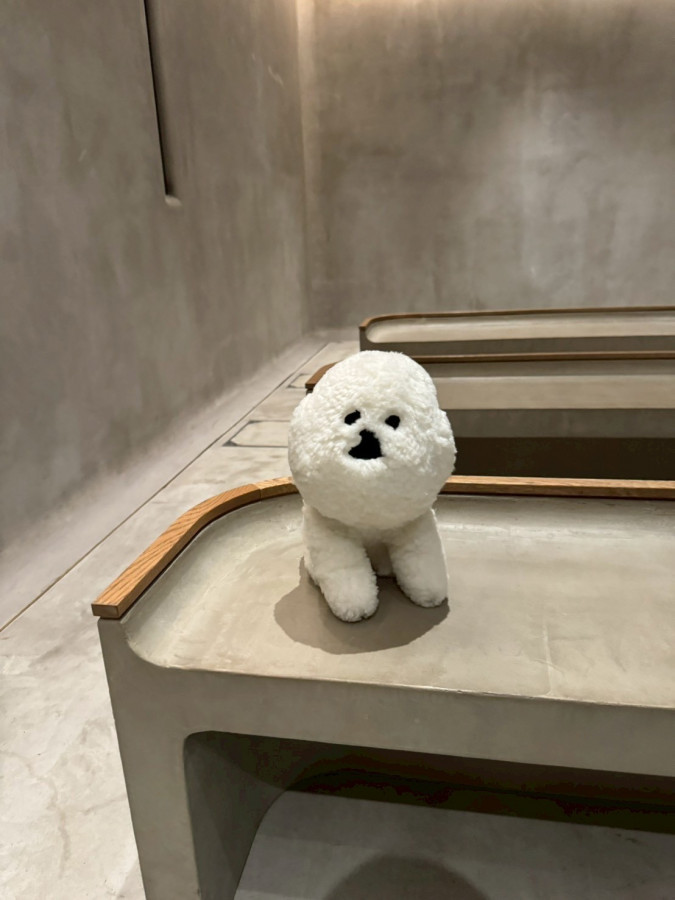 クチコミ導線画像2097638